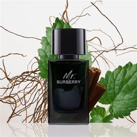 mr burberry basenotes|mr burberry eau de parfum.